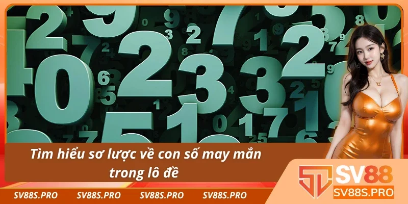 Con số may mắn trong lô đề xổ số là gì?