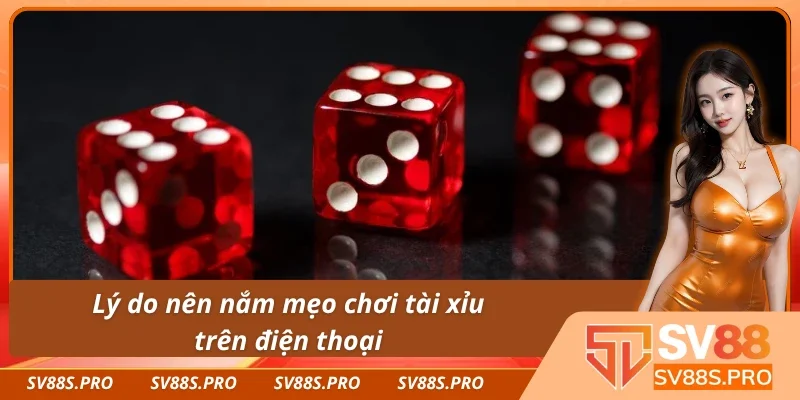 Lý do cần nắm mẹo chơi tài xỉu hiệu quả