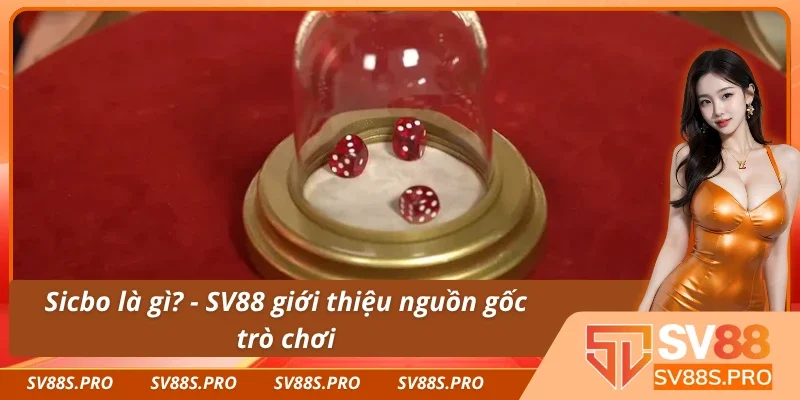 Sicbo là gì và lời giới thiệu về nguồn gốc