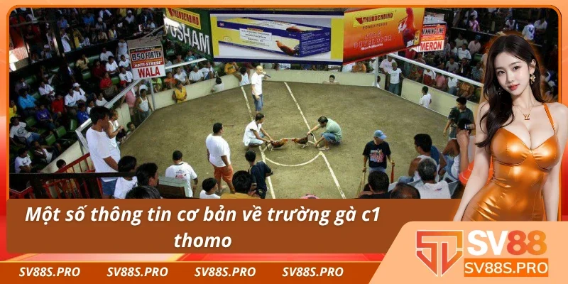 Tìm hiểu sơ lược về sân chơi chọi gà hàng đầu hiện nay