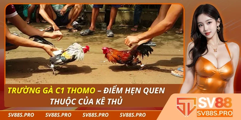 Trường Gà C1 Thomo