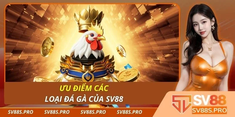 Ưu điểm các loại đá gà của Sv88