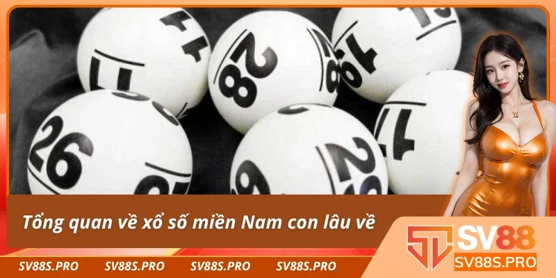 Tìm hiểu về xổ số miền Nam con lâu về 